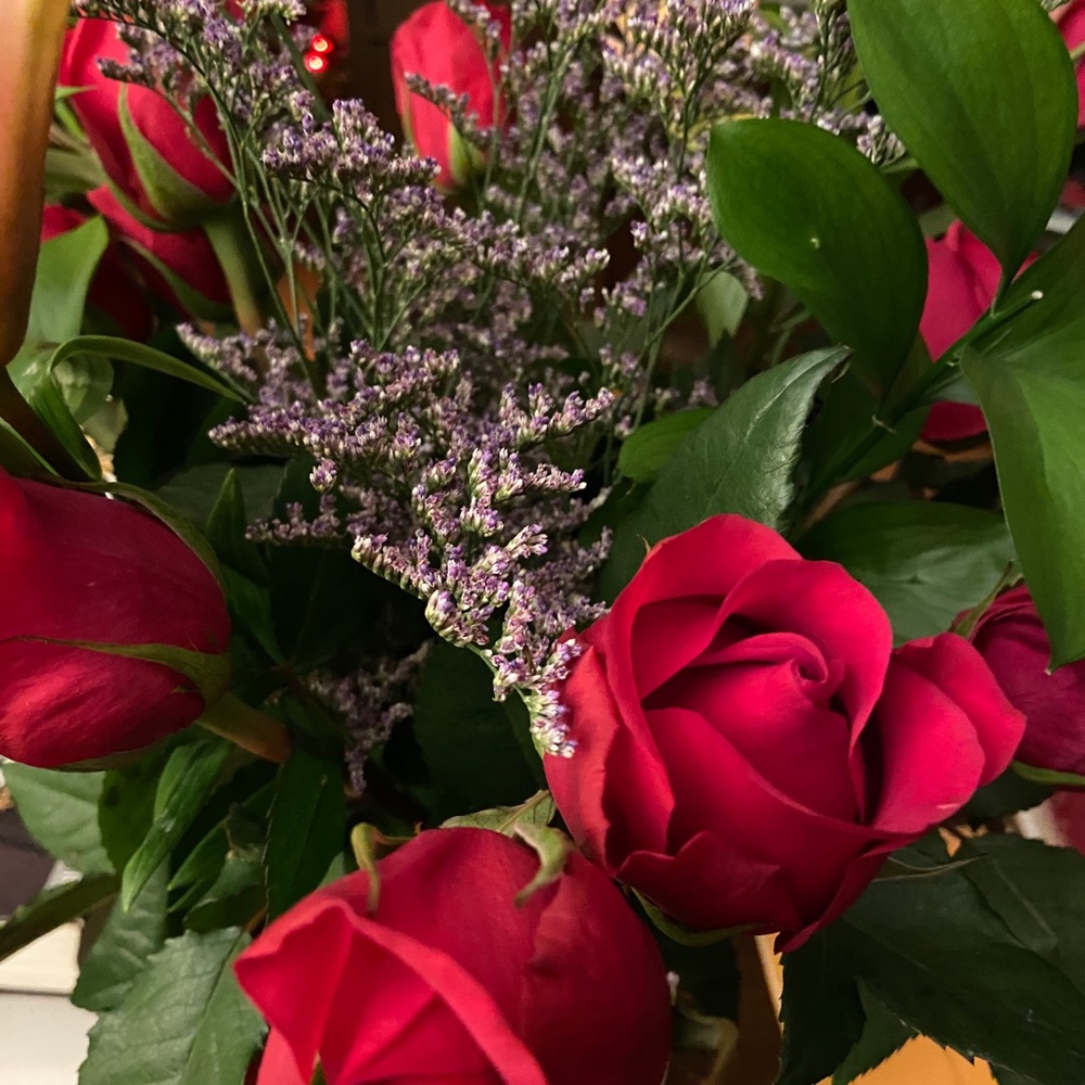 Meet your Posher, Crystiane